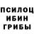 Псилоцибиновые грибы мухоморы Chantal Cervo