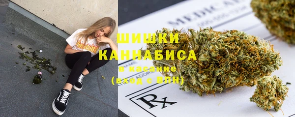 2c-b Пересвет