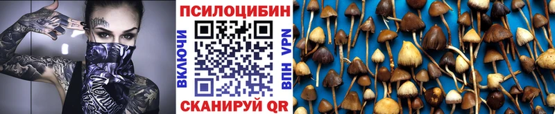 цены MEGA сайт Галлюциногенные грибы ЛСД Салехард